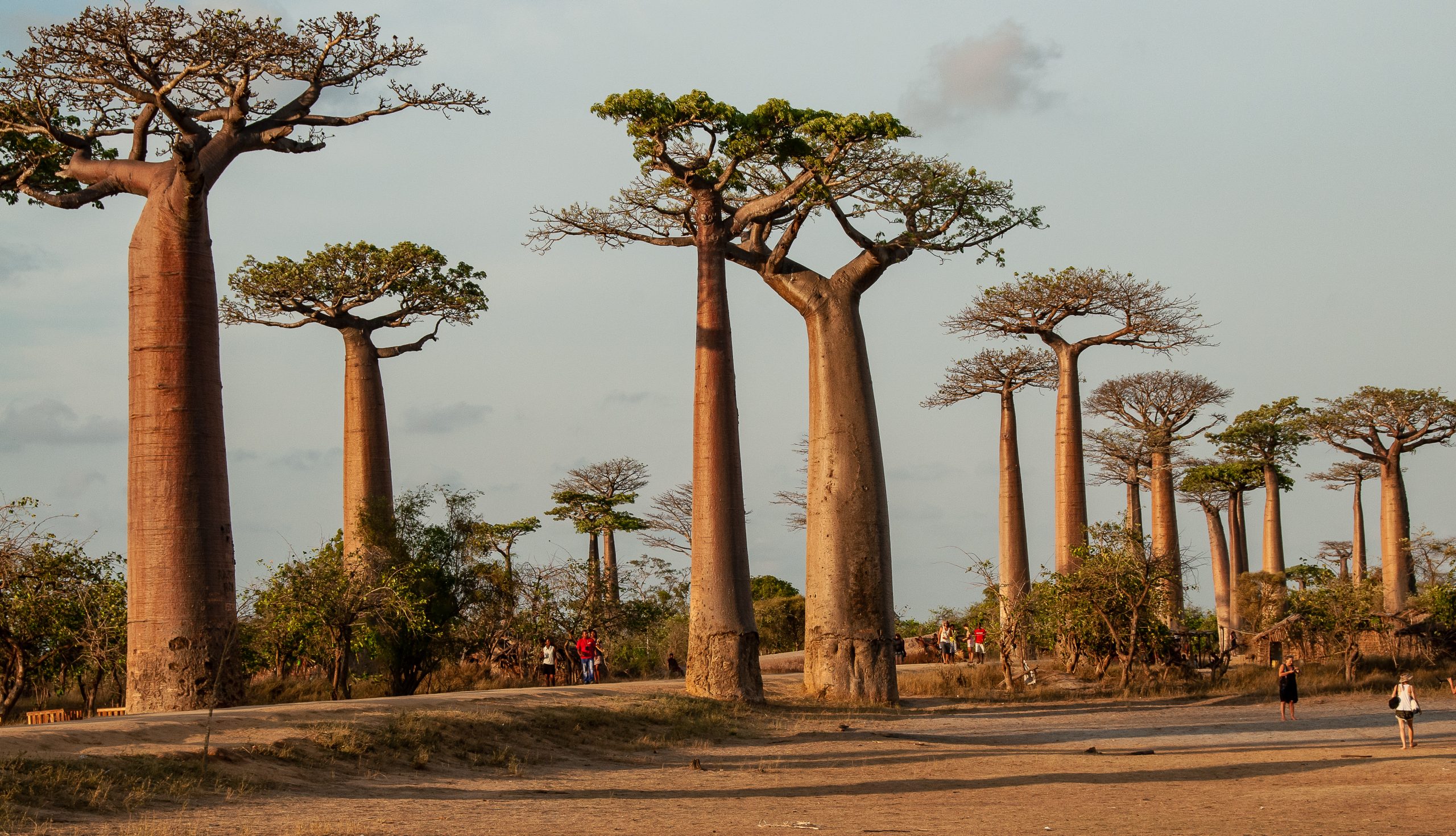 Explore Africa, Destination Madagascar