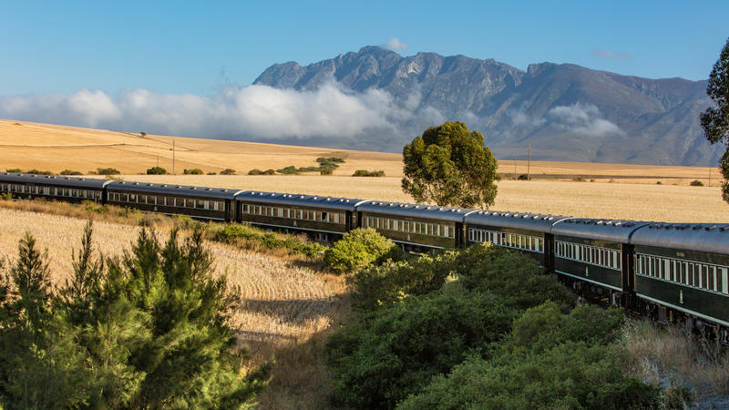 The train making its way to Cape Town on the African Collage journey © Rovos Rail Tours