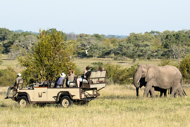 ELEPHANT INTRODUCTION Credit: Sheldon Hooper (Chitwa Guide) Close up viewing of the big 5